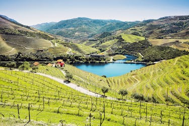 Douro Valley tour from Porto with two wineries and lunch
